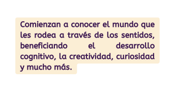 Comienzan a conocer el mundo que les rodea a través de los sentidos beneficiando el desarrollo cognitivo la creatividad curiosidad y mucho más